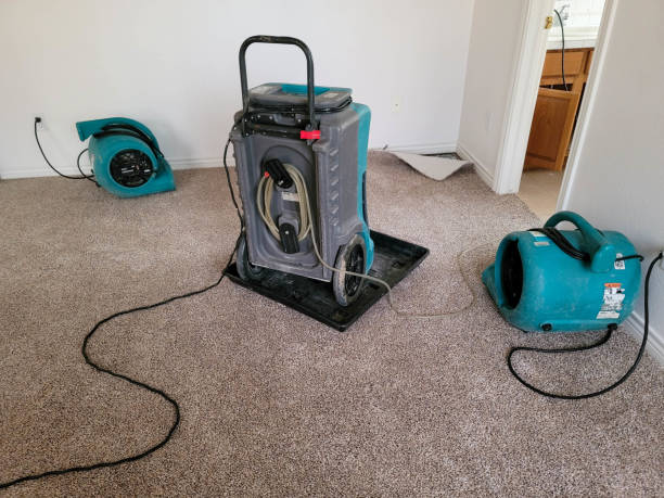 Best Water damage restoration near me  in Brooklyn, OH