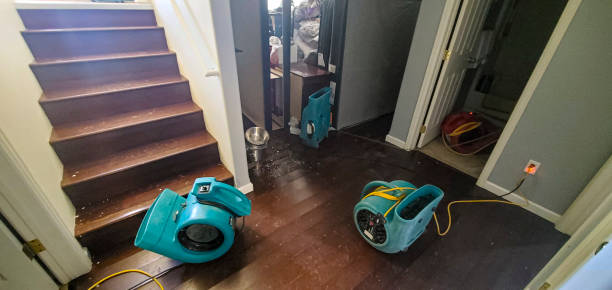 Best Flood damage cleanup  in Brooklyn, OH
