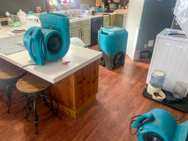Best Residential water damage restoration  in Brooklyn, OH