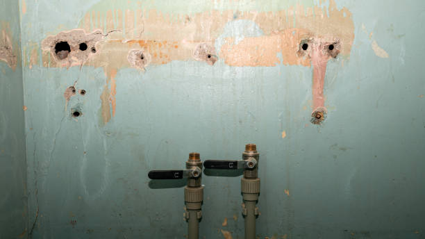 Best Carpet water damage restoration  in Brooklyn, OH